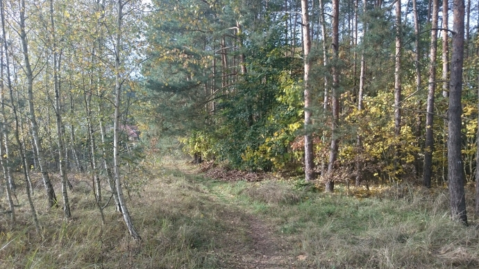 4/5 Tragedia w Jeninie