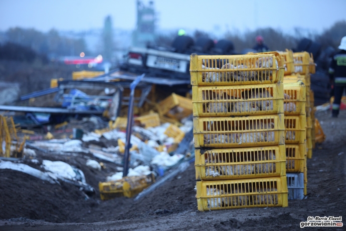 12/16 Wypadek ciężarówki przewożącej indyki