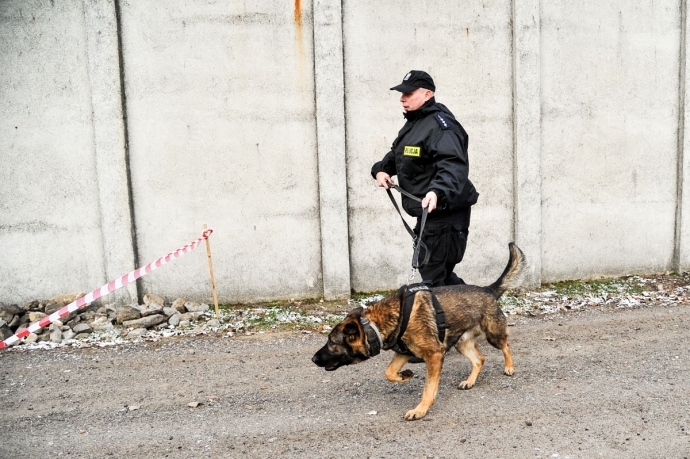 11/15 Ćwiczenia w zakładzie karnym