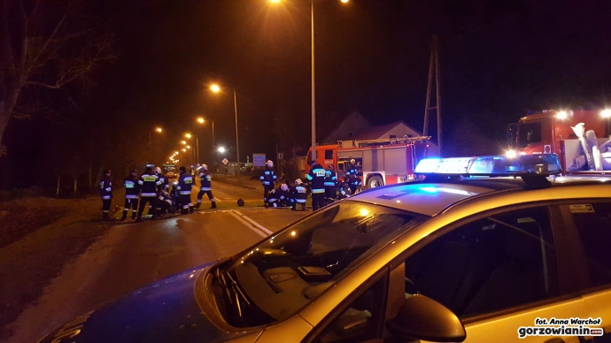 3/18 Maty chroniące przed ptasią grypą