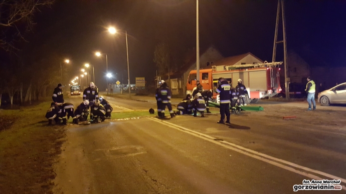 4/18 Maty chroniące przed ptasią grypą