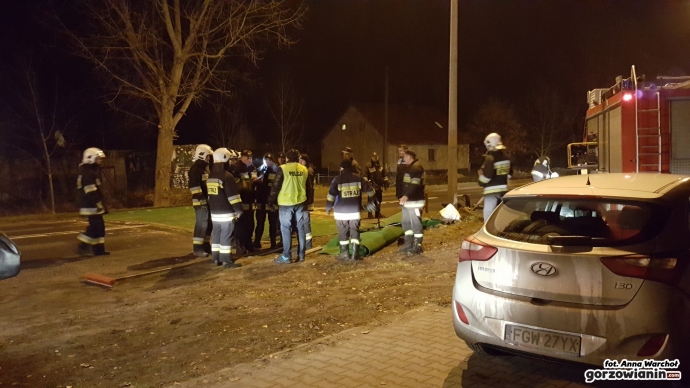 5/18 Maty chroniące przed ptasią grypą