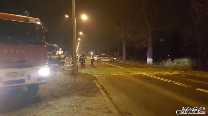 6/18 Maty chroniące przed ptasią grypą