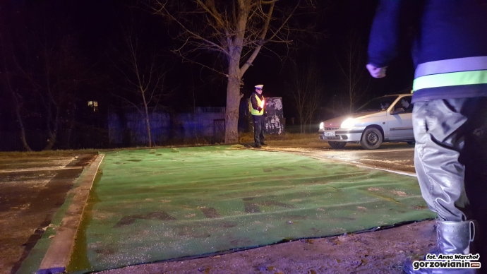 8/18 Maty chroniące przed ptasią grypą