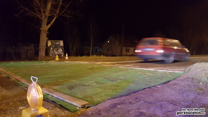 9/18 Maty chroniące przed ptasią grypą