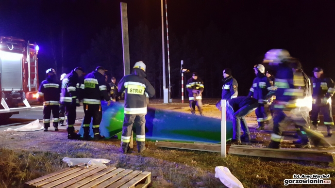 14/18 Maty chroniące przed ptasią grypą