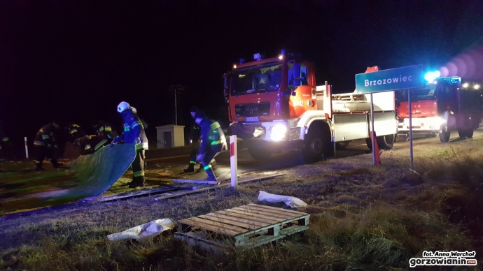 15/18 Maty chroniące przed ptasią grypą