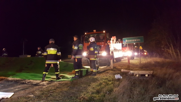 16/18 Maty chroniące przed ptasią grypą