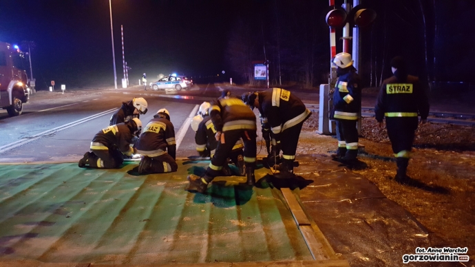 17/18 Maty chroniące przed ptasią grypą