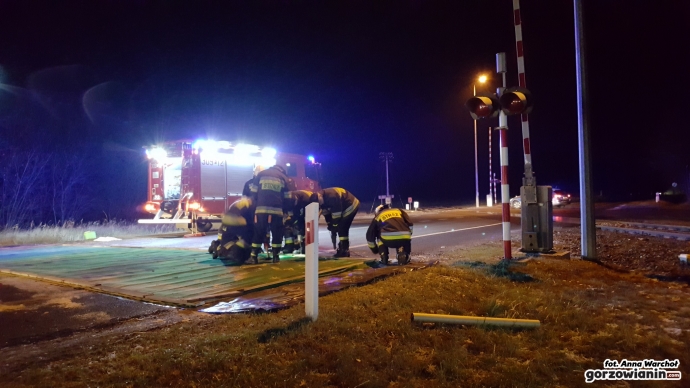 18/18 Maty chroniące przed ptasią grypą