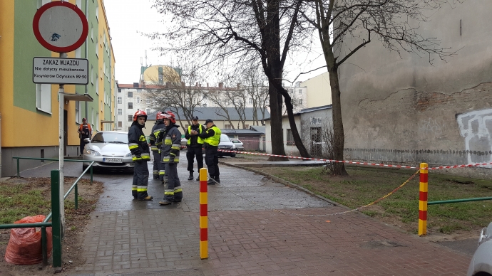 6/10 Ogrodzony zdechły gołąb