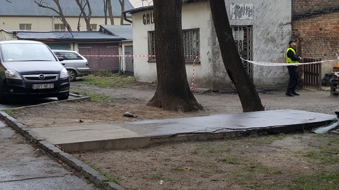 7/10 Ogrodzony zdechły gołąb