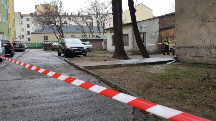 9/10 Ogrodzony zdechły gołąb