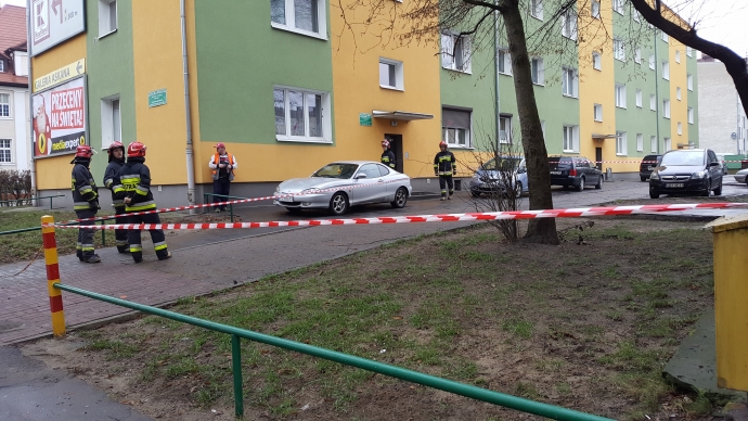 10/10 Ogrodzony zdechły gołąb