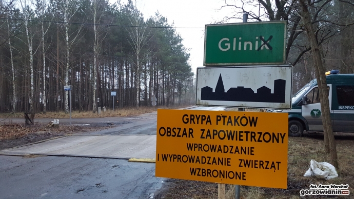 2/12 Ptasia grypa w Gliniku