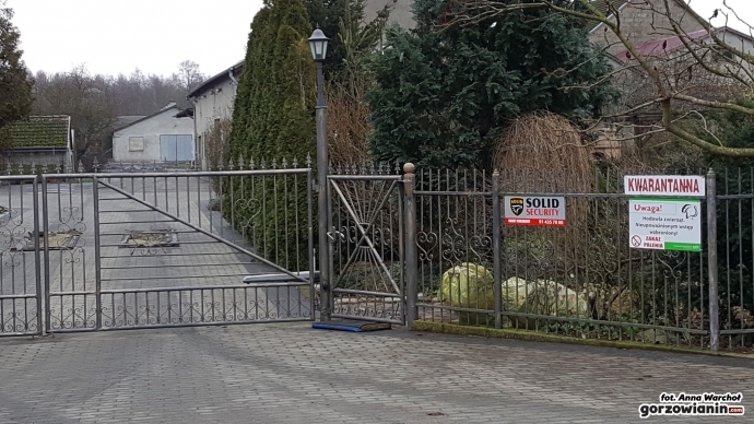 12/12 Ptasia grypa w Gliniku