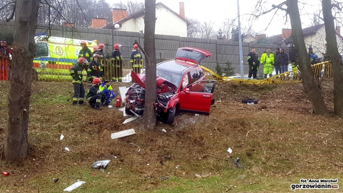 9/9 Przebił barierki i uderzył w drzewo