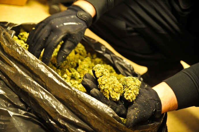 4/16 Marihuana w prezencie dla siostry