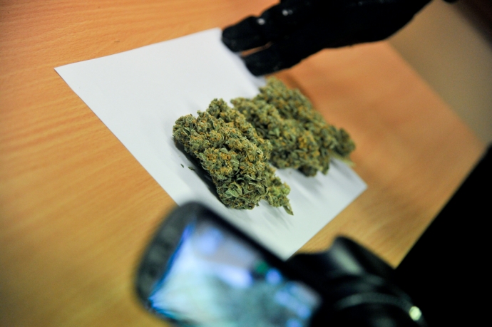 7/16 Marihuana w prezencie dla siostry