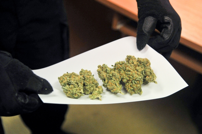 11/16 Marihuana w prezencie dla siostry