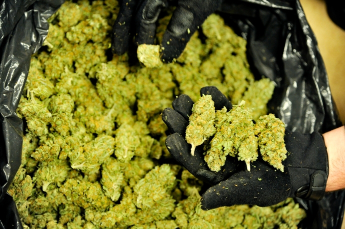 12/16 Marihuana w prezencie dla siostry