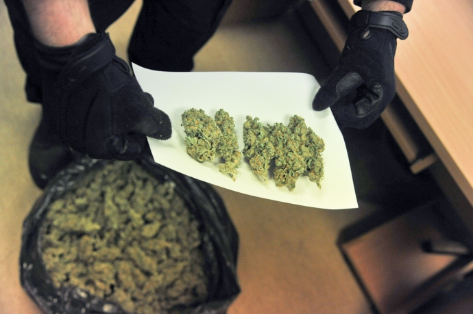 14/16 Marihuana w prezencie dla siostry