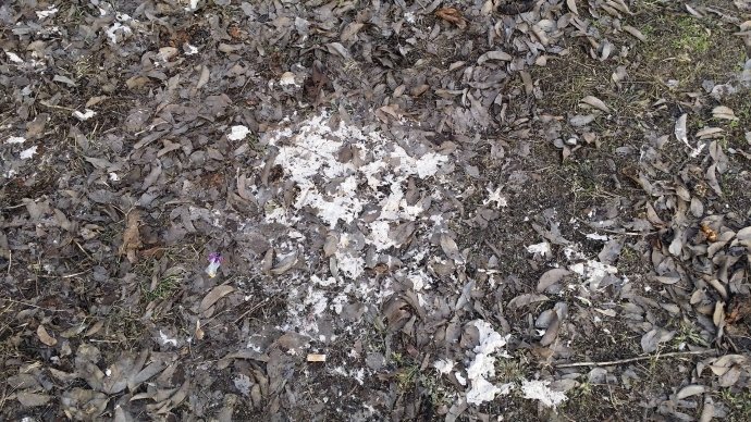 4/5 Fekalia lecą wprost do gleby