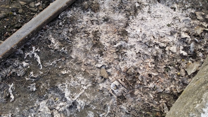 5/5 Fekalia lecą wprost do gleby