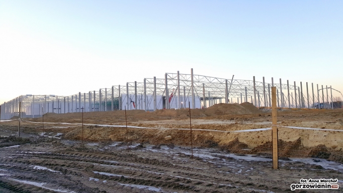 7/9 Budowa centrum logistycznego Biedronki