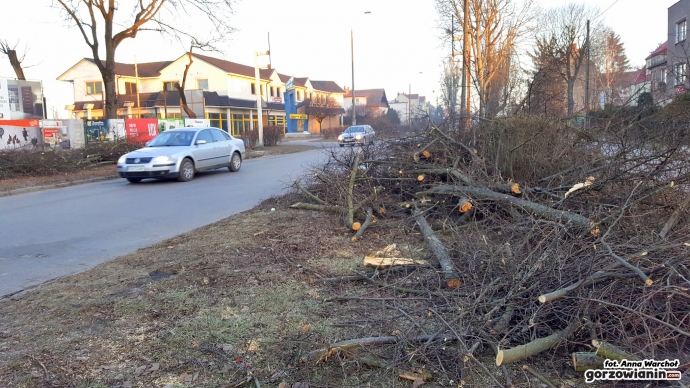 3/12 Wycinka drzew przy Kobylogórskiej