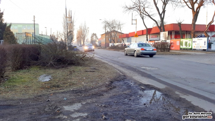 4/12 Wycinka drzew przy Kobylogórskiej