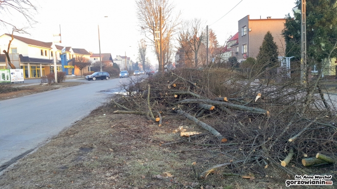 5/12 Wycinka drzew przy Kobylogórskiej