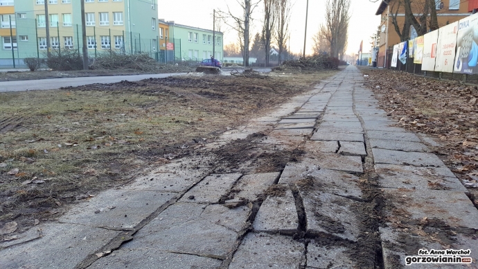 7/12 Wycinka drzew przy Kobylogórskiej