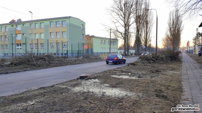 8/12 Wycinka drzew przy Kobylogórskiej