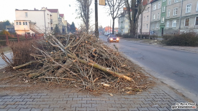 10/12 Wycinka drzew przy Kobylogórskiej