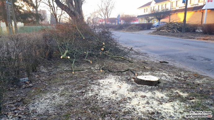 12/12 Wycinka drzew przy Kobylogórskiej