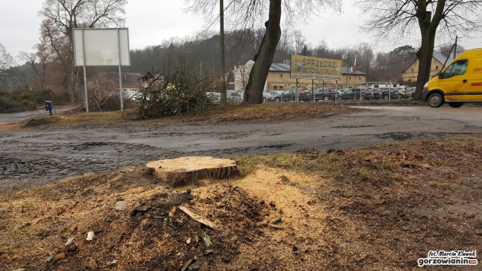 3/8 Wycinka drzew przy Kostrzyńskiej