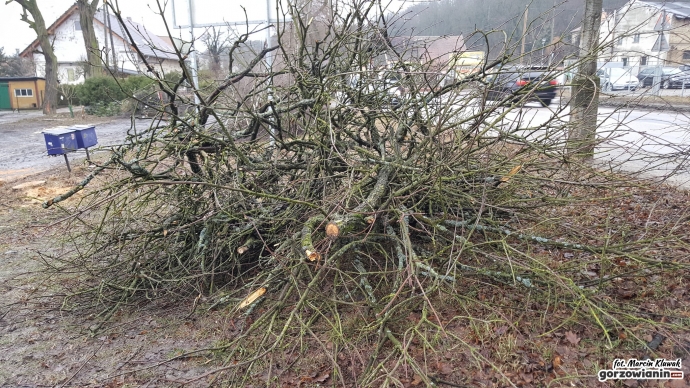 4/8 Wycinka drzew przy Kostrzyńskiej