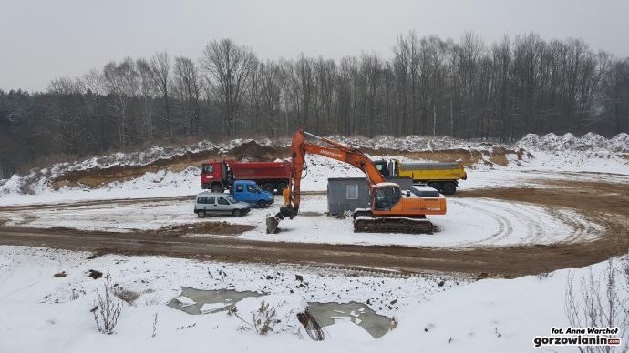 3/8 Ptasia grypa pod Gorzowem