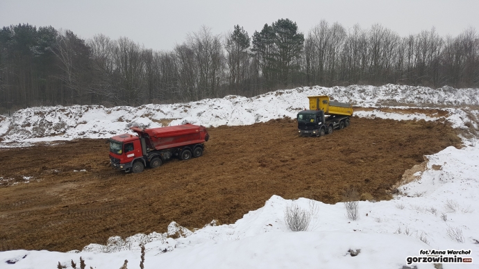 4/8 Ptasia grypa pod Gorzowem