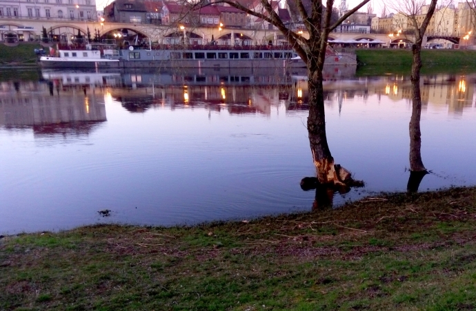 4/4 Bobry nad Wartą