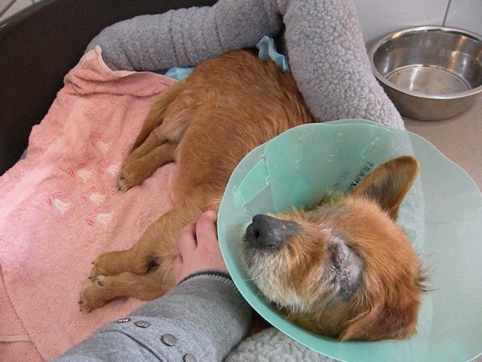 3/4 Kto wydłubał oczy Piratowi?