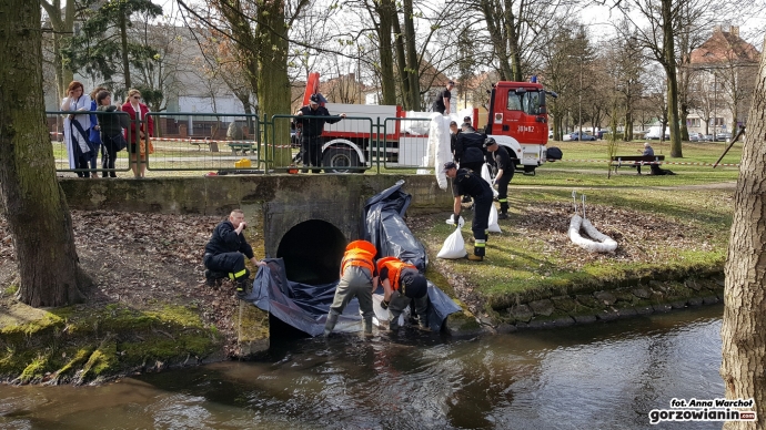 4/6 Wyciek do Kłodawki