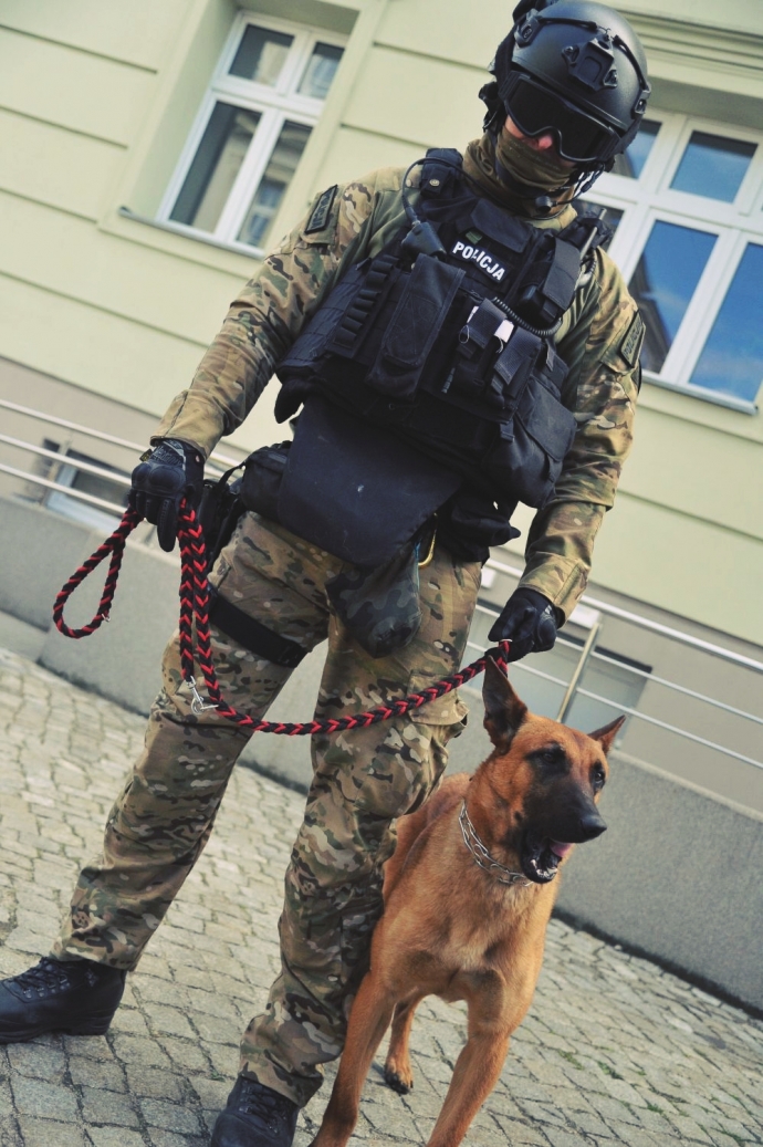 23/39 Desperat sterroryzował gorzowską uczelnię