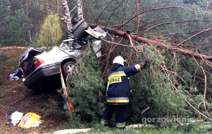 2/5 BMW roztrzaskało się o drzewo