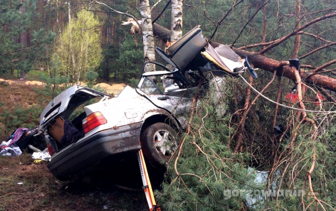 3/5 BMW roztrzaskało się o drzewo