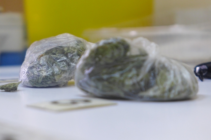 4/4 Znaleźli przy nich 20 gramów marihuany