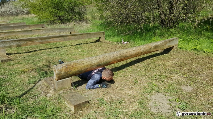 13/15 Dzikie Dziki opanowały poligon
