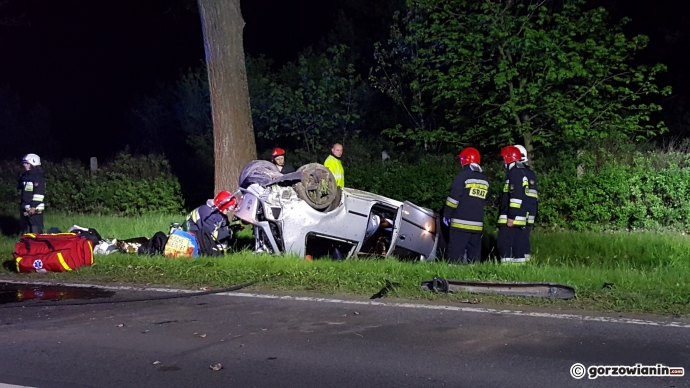 4/6 Dachowanie golfa pod Gorzowem