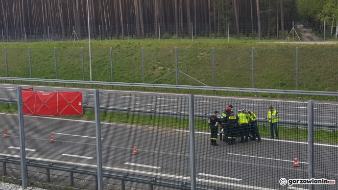 3/6 Śmiertelny wypadek na S3 z udziałem motocyklisty